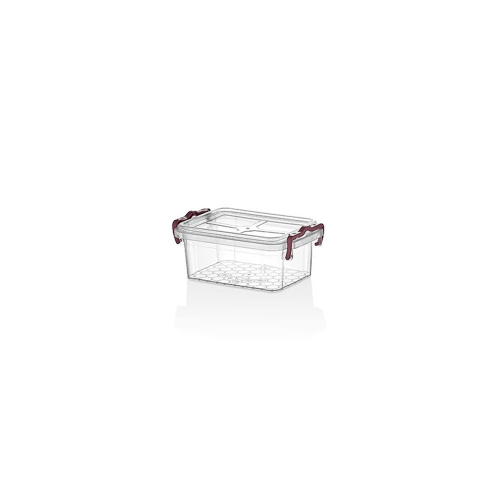 MERDEM MİNİ KİLER SAKLAMA KABI 300CC MRD009